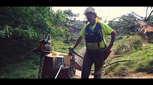 An introduction to tree-jacking