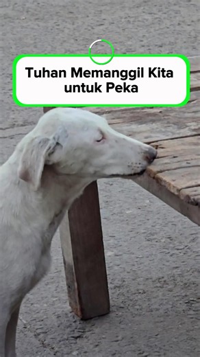 Tuhan memanggil kita untuk peka
