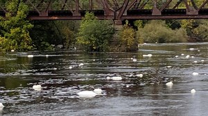 Wisconsin Natural Resources Board set to take up regulation of PFAS