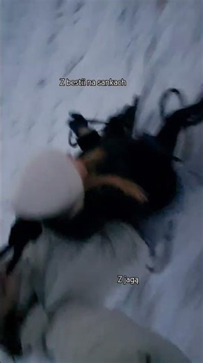 Jaga 💖 #horse#pony#koniara#equestrian #cavaliada