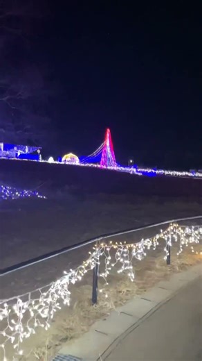 I went to see the illuminations in Honjo City!