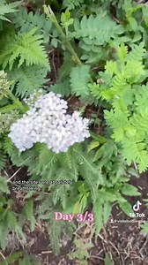 42K views · 844 reactions | Happy National #PlanForVacation Day! Life is all about the journey, and there's no better journey than planning for a new adventure in Albuquerque. So, make those vacation plans and enjoy the ride! #TrueABQ | Visit Albuquerque | Facebook