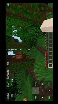 I play Minecraft Java edition in mobile