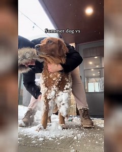 1.1K views · 27 reactions | Summer coat vs winter coat 臘‍♂️ ........................................... Credits: nadaliahaita (IG) Note: We do not own any rights for these videos. ©All rights go to the respective owners - no copyright infringement intended. If you're the owner of the video and you don't wish it to be on our page, please contact us via DM for a removal | DailyMore | Facebook