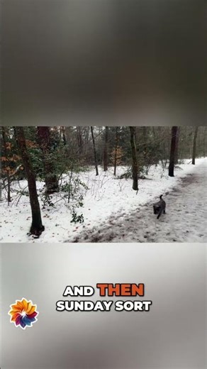 From Rushed to Rewarding: Your Ideal Weekend Program Unveiled! #shorts