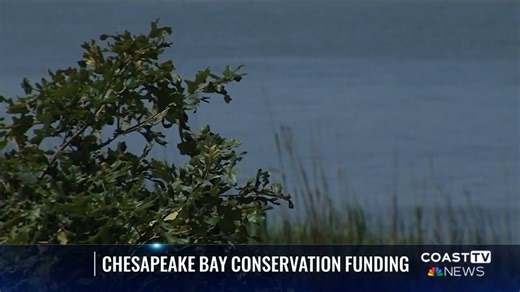 Over $7 million in federal conservation grants is headed to Delaware. The funding aims to boost water quality and habitat restoration in the state's portion of the Chesapeake Bay Watershed. | CoastTV News
