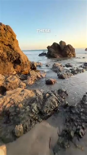 RayNeo X3 Pro AI Glasses: Launch Perks Just for You! Buy Now and enjoy early bird price!🥳 Hey there, future X-series explorer! 🚀 ✨Powered by Google Gemini: Always-on AI assistance. ✨RayNeo AI OS: Intuitive 3D spatial interface. ✨Global Translation: Break language barriers in real-time. ✨AR App Ecosystem: Your favorite apps, reimagined for glasses. ✨Smart Assistant: Manage to-dos, memos, and schedules instantly. ✨Heads-up Navigation: Real-time guidance, right in your view. ✨Ultimate Control: In