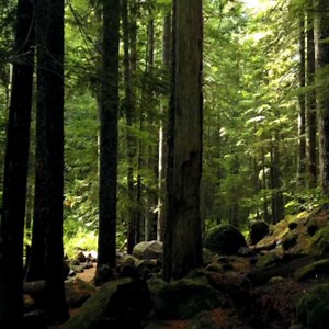 4.2K views · 40 reactions | Creato da registi professionisti, il TV OLED 4K UHD Panasonic JZ1500 offre immagini fedeli alla realtà e colori così naturali da farti sentire parte della scena. Scoprilo qui >>> https://bit.ly/3aIZtxG #PanasonicTV #GuardaloVivilo #TVOLED | Panasonic Italia | Facebook