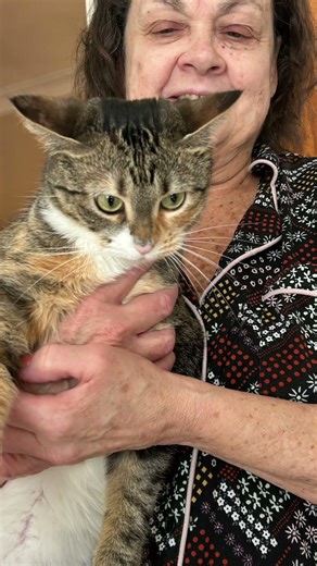 Make this cat sing a country song gods country with its mouth moving