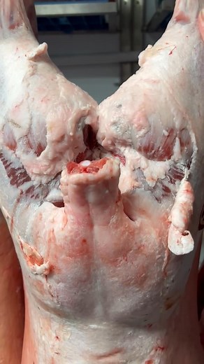 On tour 👍👍🔥🔥 | Parkin Family Butchers Howden