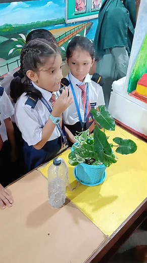 589K views · 13K reactions | Class one Robin section Science project | Scholarshome Shibgonj Campus | Facebook