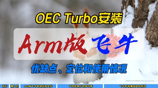 OEC Turbo安装Arm版飞牛～优缺点、定位和使用情况