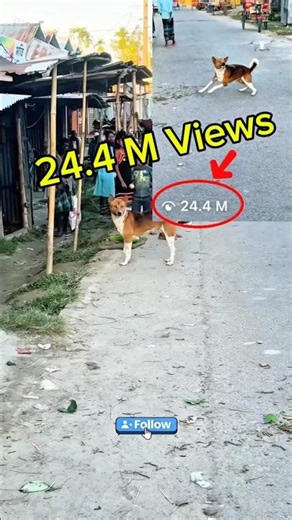 Village Dog vs Drone Prank 😂 | Angry Dog ATTACKS Our Drone! 😱 #shorts #youtubeshorts #drone #prank