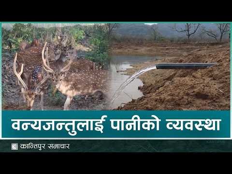 कृत्रिम सिमसार क्षेत्र निर्माणमा चितवन राष्ट्रिय निकुञ्ज | Kantipur Samachar