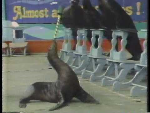 Marineland 1980 TV commercial