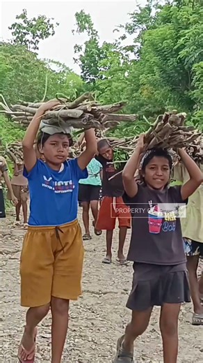 memikul kayu api dengan jarak yang cukup jauh #reels