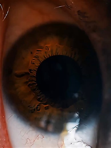 Exploring the Eyes of the Universe in Stunning 120fps