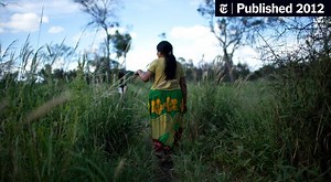 Vast Tracts in Paraguay Forest Being Replaced by Ranches