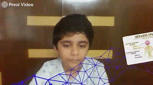 Human nervous system