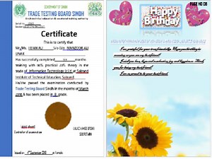 Master in data entry