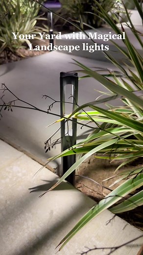 Enhance Your Outdoor Space with Landscape Lighting
