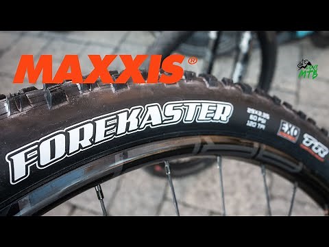 The PERFECT wet Tire? - Maxxis Forekaster - Quick Check vs Rekon Race