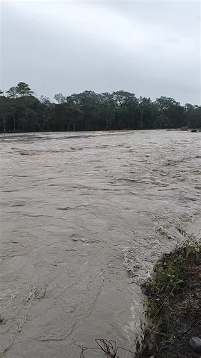 #central_forces #😭😭😭 | Central Force