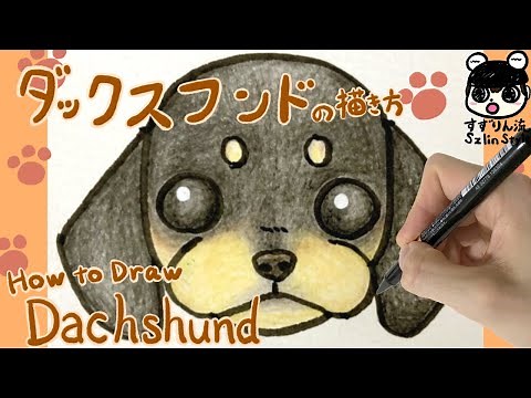 [Illustration of a dog] How to draw a dachshund