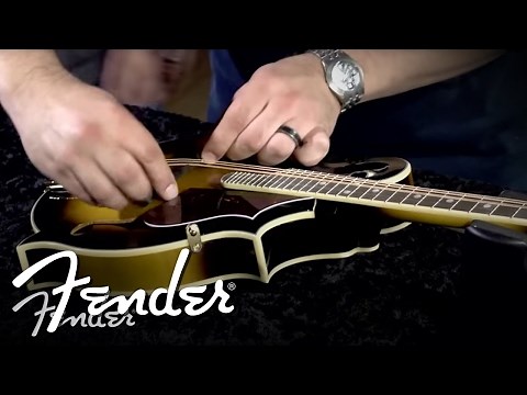 How to Place & Install a Mandolin Bridge | Fender