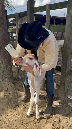 HORA DA MAMADEIRA!! #shorts