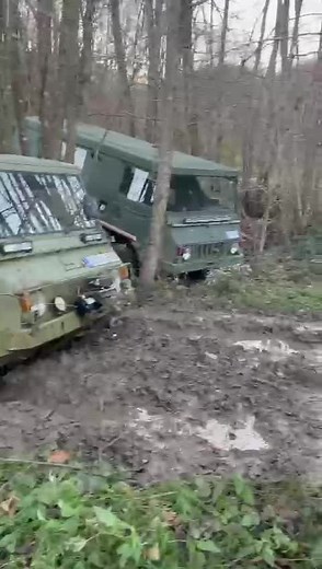 Pinzgauer on TikTok