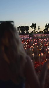 12 shares | Step into a glowing galaxy at Ulur̲u  Field of Light transforms the desert with 50,000 lights. Choose your experience: walk among the lights, upgrade with drinks & canapés, or enjoy a three-course dinner under the stars. | Explore Uluru | Facebook