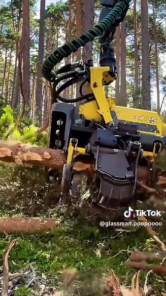 Forestry Techniques: Timber Harvesting and Logging Machines