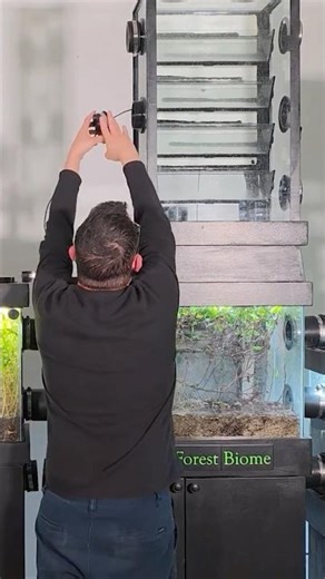 He Built a Living, Breathing Ecosystem at Home