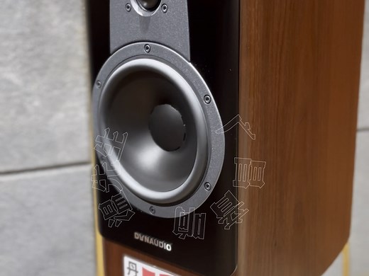 Dynaudio丹拿轮廓20i音箱#发烧音响 #hifi发烧友