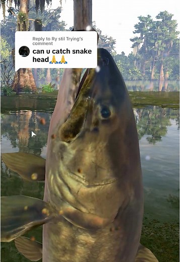 Snakehead Fishing Tips in Fishing Planet Gameplay