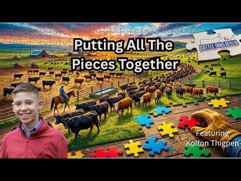 What Makes a Successful Cattle Business