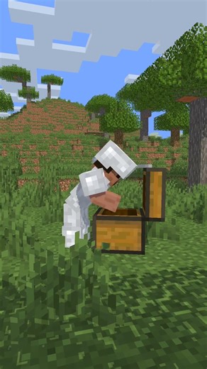 Perfect Shot I Minecraft