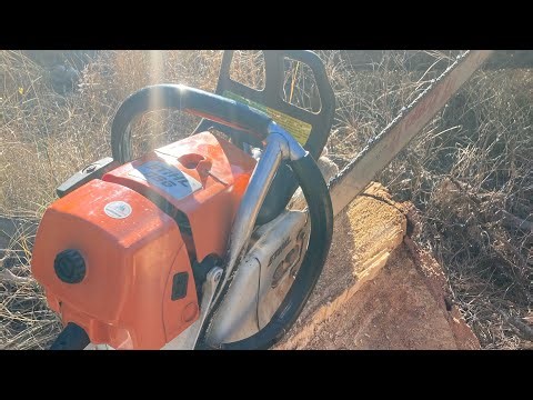 Stihl 066 ported piped and a dead snag with a leaner on it.