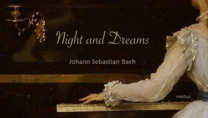 Classic · J.S. Bach｜巴洛克音乐盒 · 古典纯音乐 · 助眠 放松 冥想