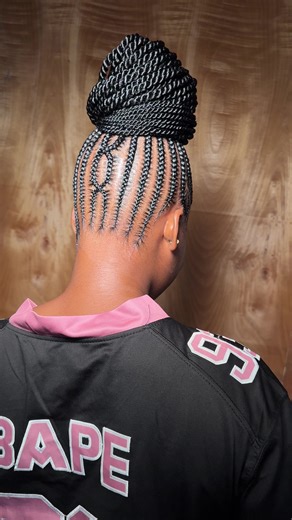 Chic Ponytail Hairstyles for Ladies