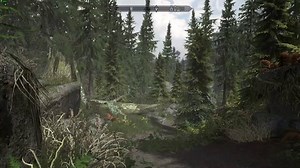 Skyrim Flora Overhaul Special Edition Mod Showcase by vurt