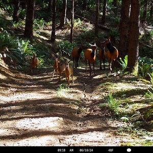 Feeling good | Jody Smith Guide Service