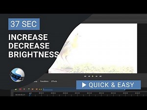 OpenShot Video Editor Tutorial: How to Increase Brightness in OpenShot