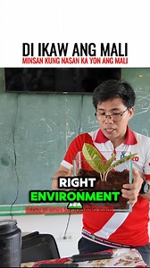 4.2M views · 67K reactions | Di ikaw ang Mali #students #environment #reminder #parents #OFW | DATU AL-AMIN IBAD OFFICIAL | Facebook