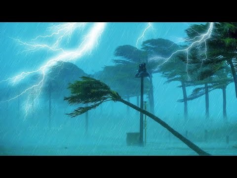 Extremely Easy to Sleep Instantly in Minutes | Terrible Hurricane with Strong Wind, Rain & Thunder