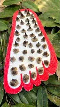 STYROFOAM Hacks For Emergency Survival? #survival #camping #survivalskills