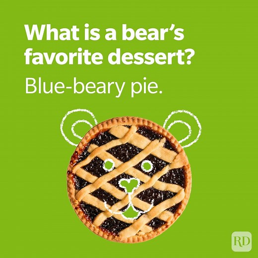 75 Bear Puns That Will Make You Growl with Laughter