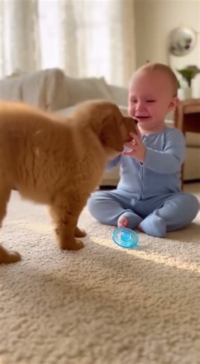 Baby and Puppy Rescue Moment When Pacifier Falls