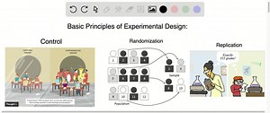 (a) Describe the following three fundamental principles: (i) randomisation, (ii) replication, and (iii) local control. Explain the importance of these principles with respect to designing statistical experiments. Give suitable illustrations. (b) Explain, with illustrations, the different methods of controlling heterogeneity in field experiments. (c) Discuss how the efficiency of an experiment can be increased by increased replication and lotal control. (d) Define 'experimental error'. What are i